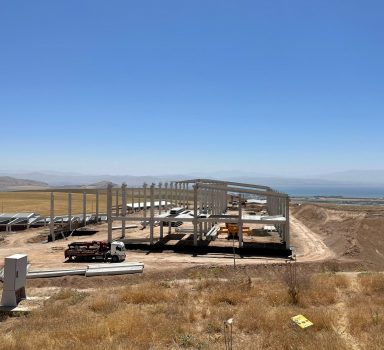 YEŞİL AGRO